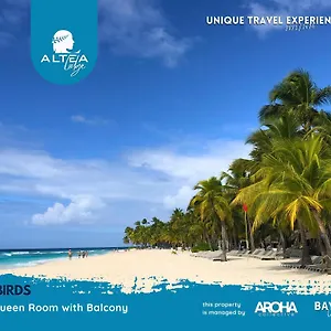 https://saona-island-inn.greaterantilleshotels.net