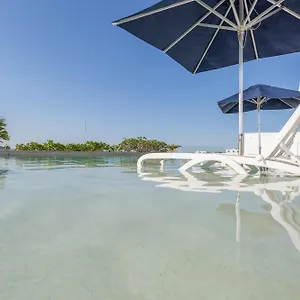 https://cetral-department-playa.allrivieramayahotels.com