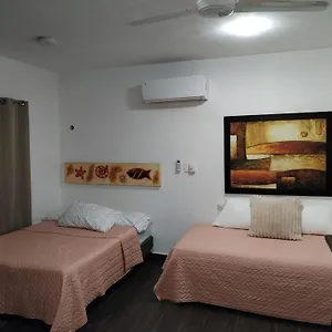 Apartamento Estudio Zona Centro Cerca De La Terminal Ado, Cancún